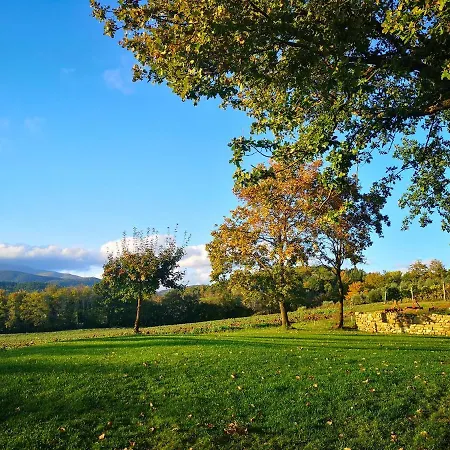 Holiday home Palazzolo - *